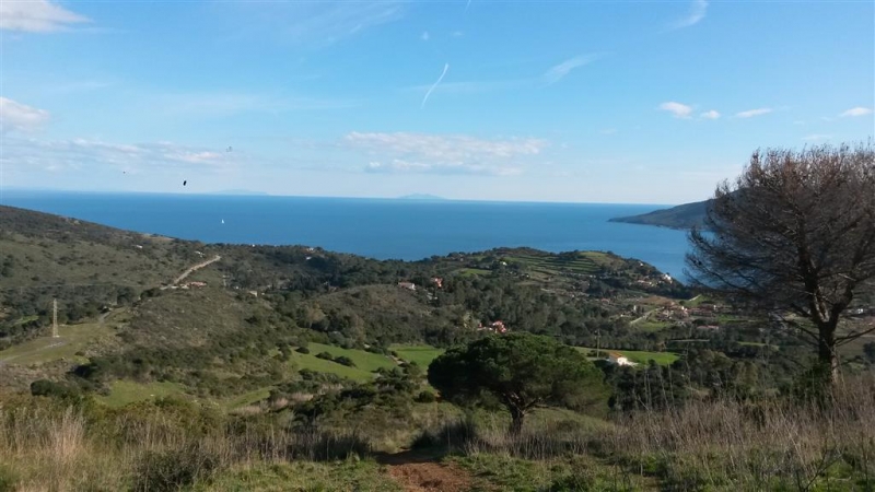 elba2016 (panoramiche) (8)