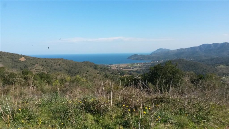 elba2016 (panoramiche) (9)