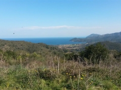 elba2016 (panoramiche) (9)