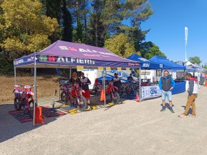 Gazebo alfieri 2025
